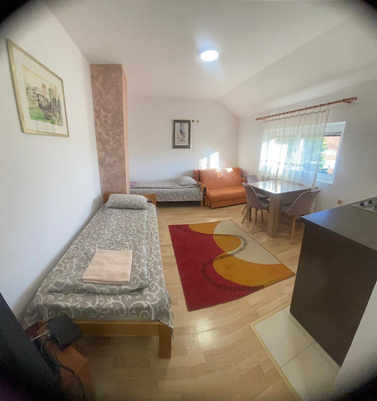 Apartmani Nais ズラティボール エクステリア 写真