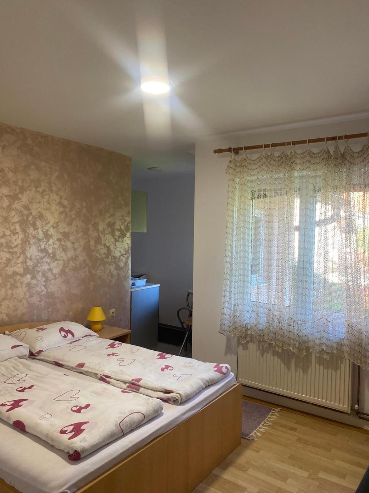 Apartmani Nais ズラティボール エクステリア 写真