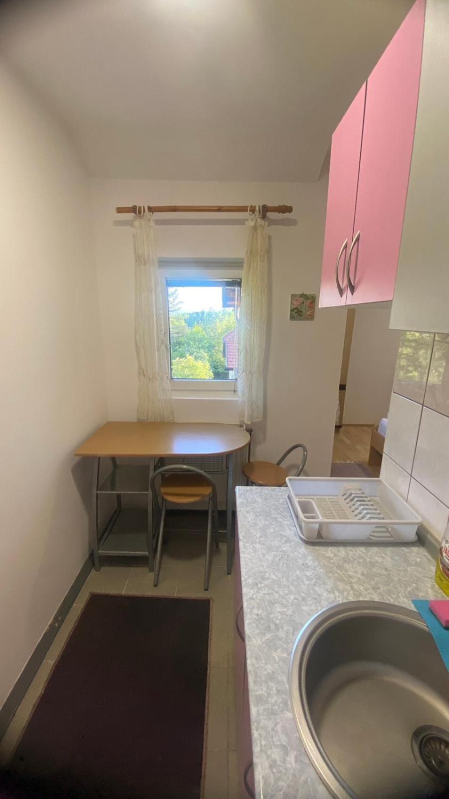 Apartmani Nais ズラティボール エクステリア 写真