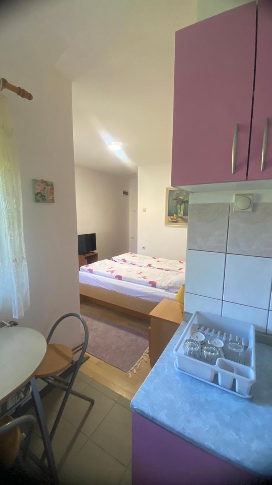Apartmani Nais ズラティボール エクステリア 写真